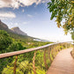 Meet South Africa:  Cape & Kruger Explorer